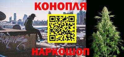 СК Обь