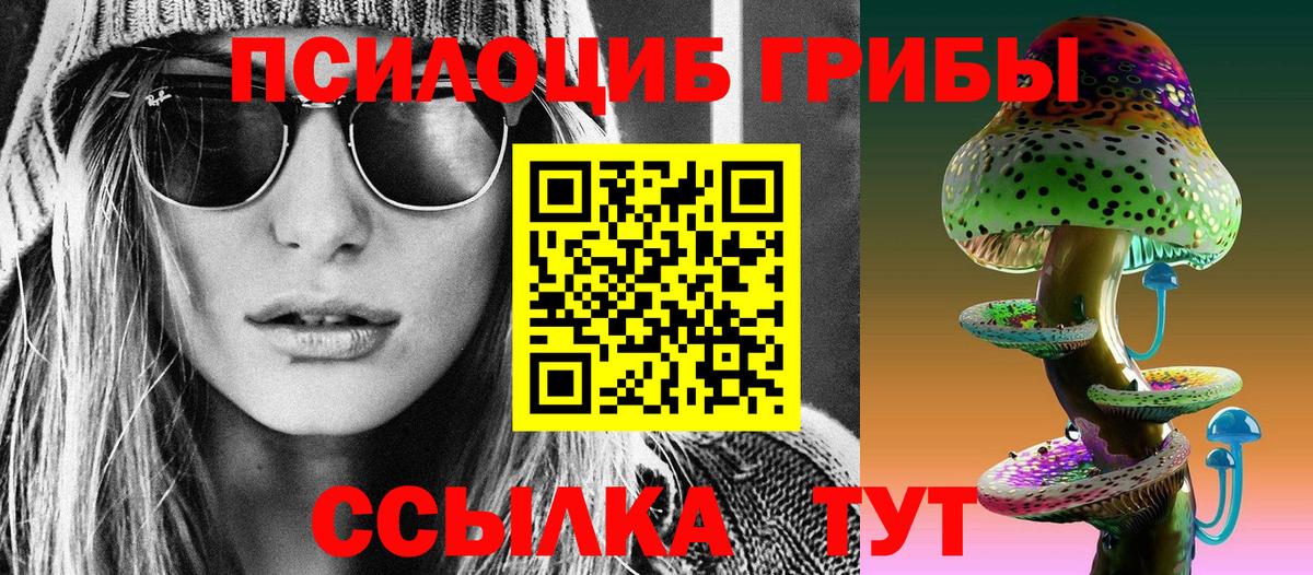 Псилоцибиновые грибы мухоморы Томск